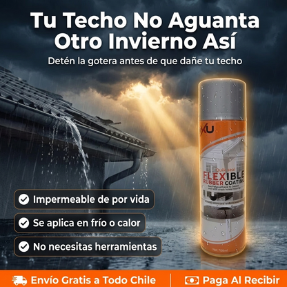 Techo con gotera - anuncio sellador impermeable